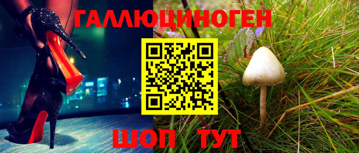 Псилоцибиновые грибы мицелий Балашов