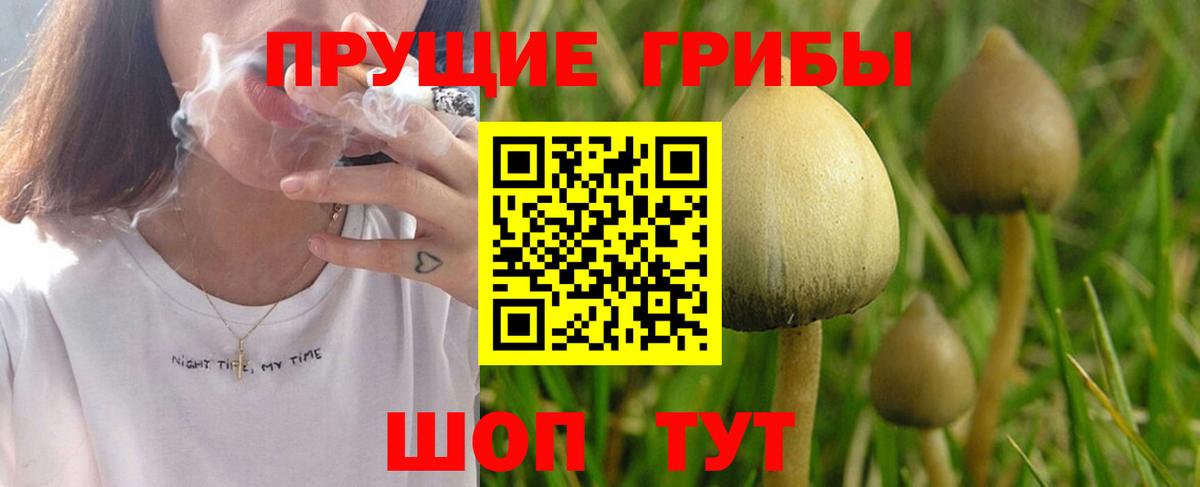 купить наркоту  Вход с VPN  Балашов  Псилоцибиновые грибы Magic Shrooms 